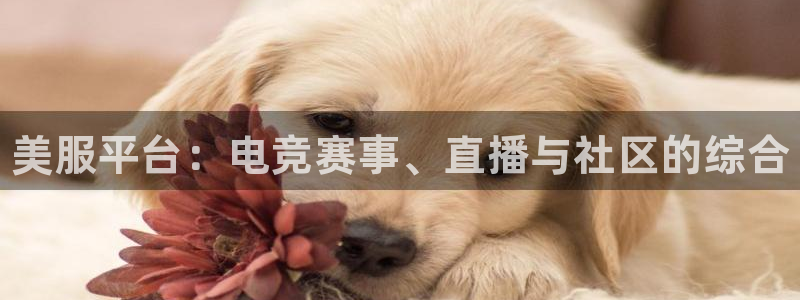 优贝娱乐怎么注册：美服平台：电竞赛事、直播与社区的综合