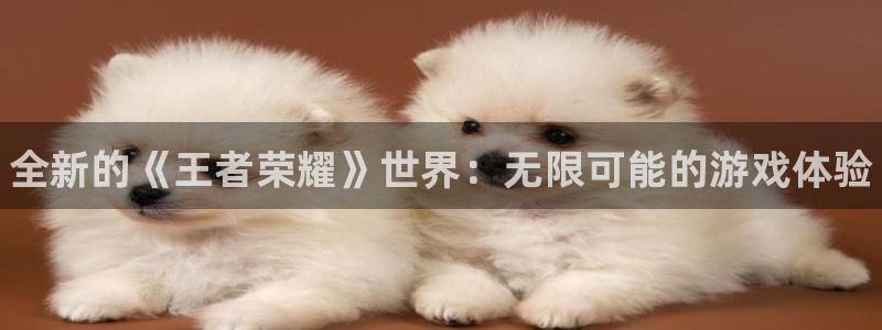 优贝娱乐平台官网登录：全新的《王者荣耀》世界：无限可能的游戏