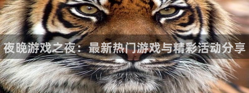 优贝娱乐注册登录平台：夜晚游戏之夜：最新热门游戏与精彩活动分