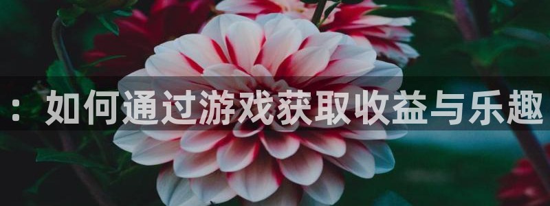 优贝娱乐咨询：：如何通过游戏获取收益与乐趣