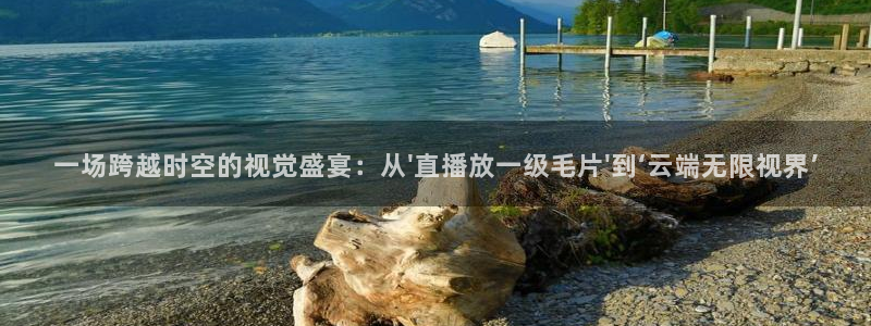 so米nba直播吧：一场跨越时空的视觉盛宴：从\'直播放一级毛片\'到‘云端无限视界’