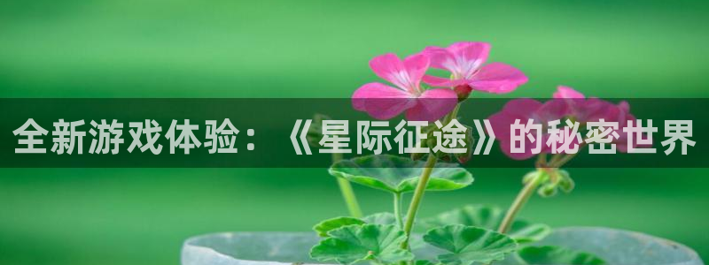 优贝娱乐挂机：全新游戏体验：《星际征途》的秘密世界