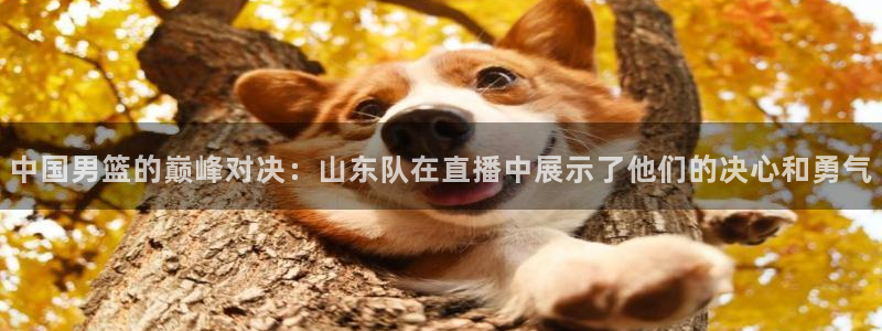so米体育网页版