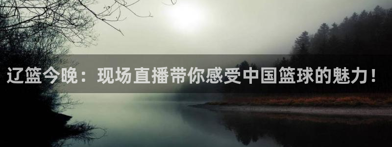 足球so米直播：辽篮今晚：现场直播带你感受中国篮球的魅力！
