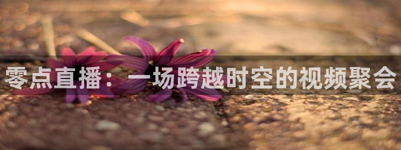 so米体育比赛直播：零点直播：一场跨越时空的视频聚会